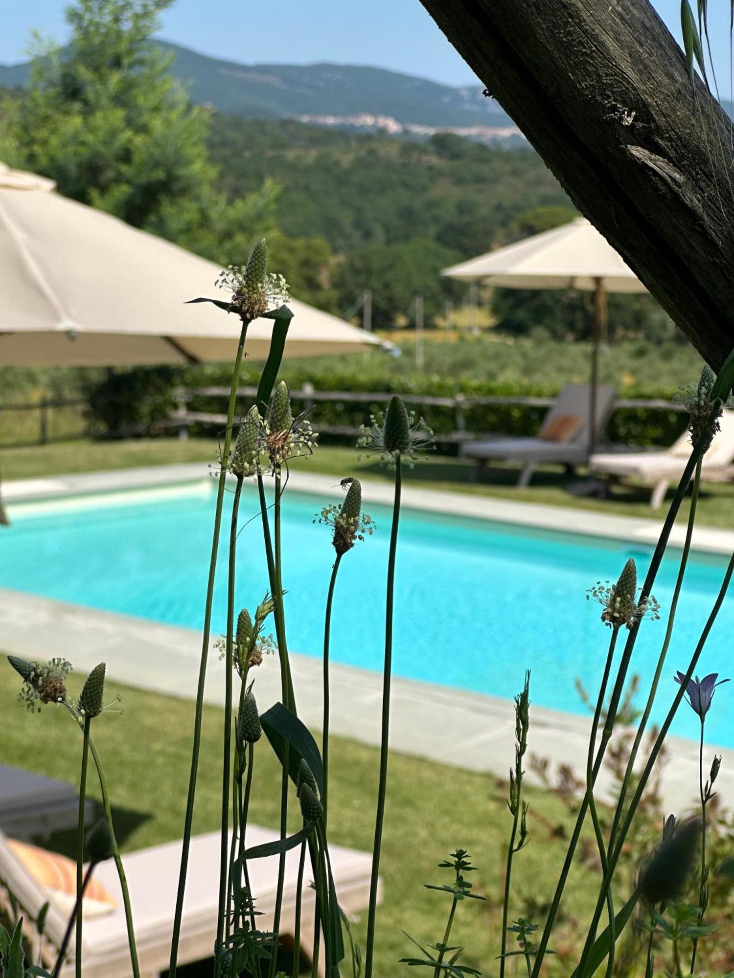 Gio Toscana Castiglione della Pescaia Ngoại thất bức ảnh