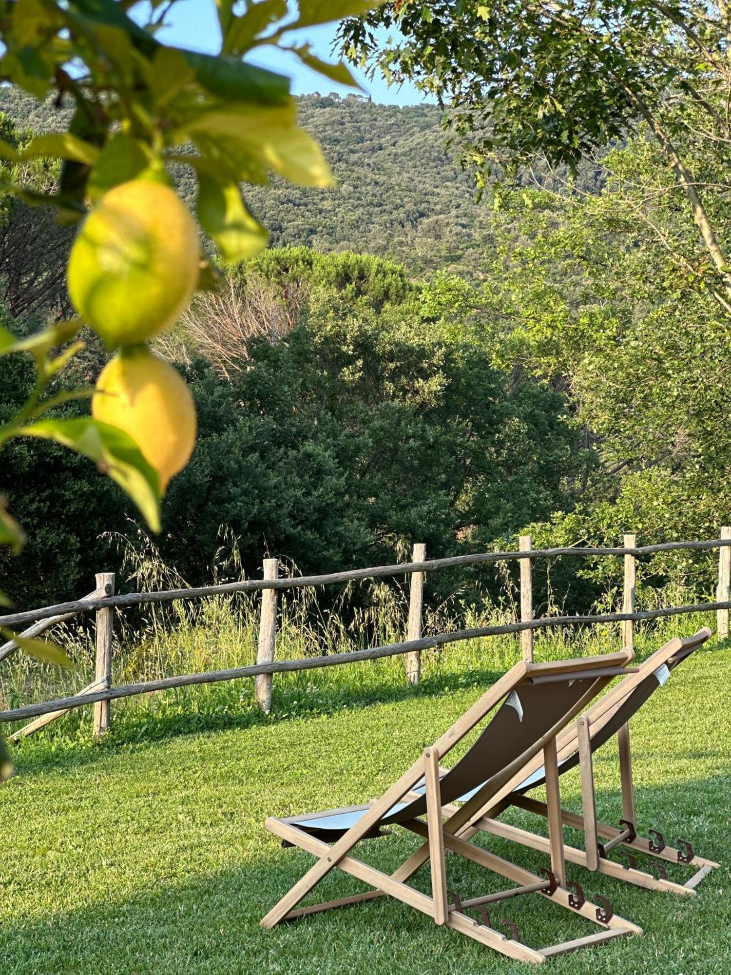 Gio Toscana Castiglione della Pescaia Ngoại thất bức ảnh